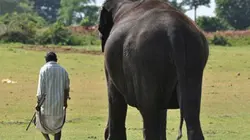 Visuel de L'Inde sauvage