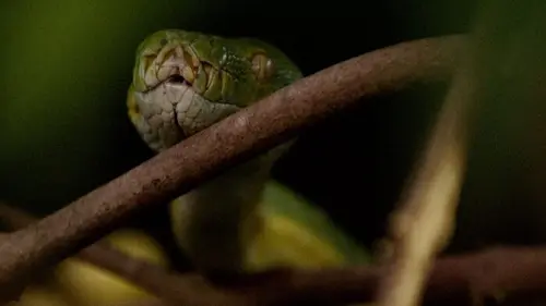 L'Indonésie sauvage La mousson
