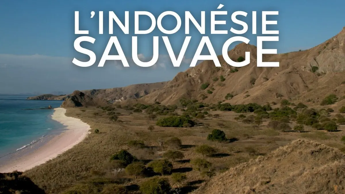 L'Indonésie sauvage Le territoire des dragons