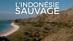 Visuel de L'Indonésie sauvage
