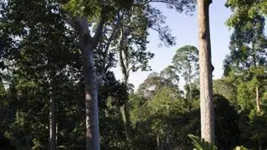 Le territoire des dragons