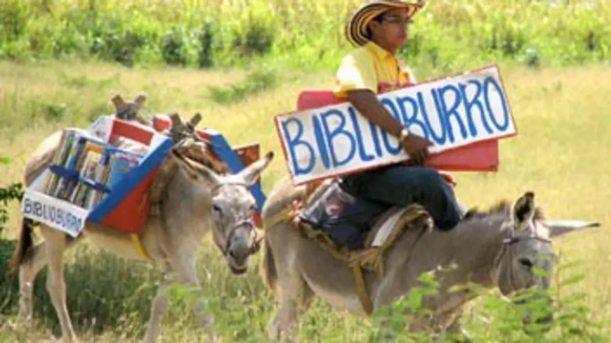 L'instituteur et l'âne bibliothèque