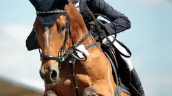 L'intégrale des courses