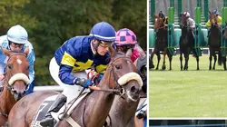 L'intégrale des courses