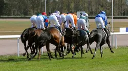 L'intégrale des courses