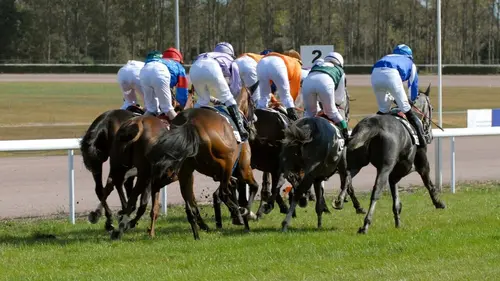 L'intégrale des courses