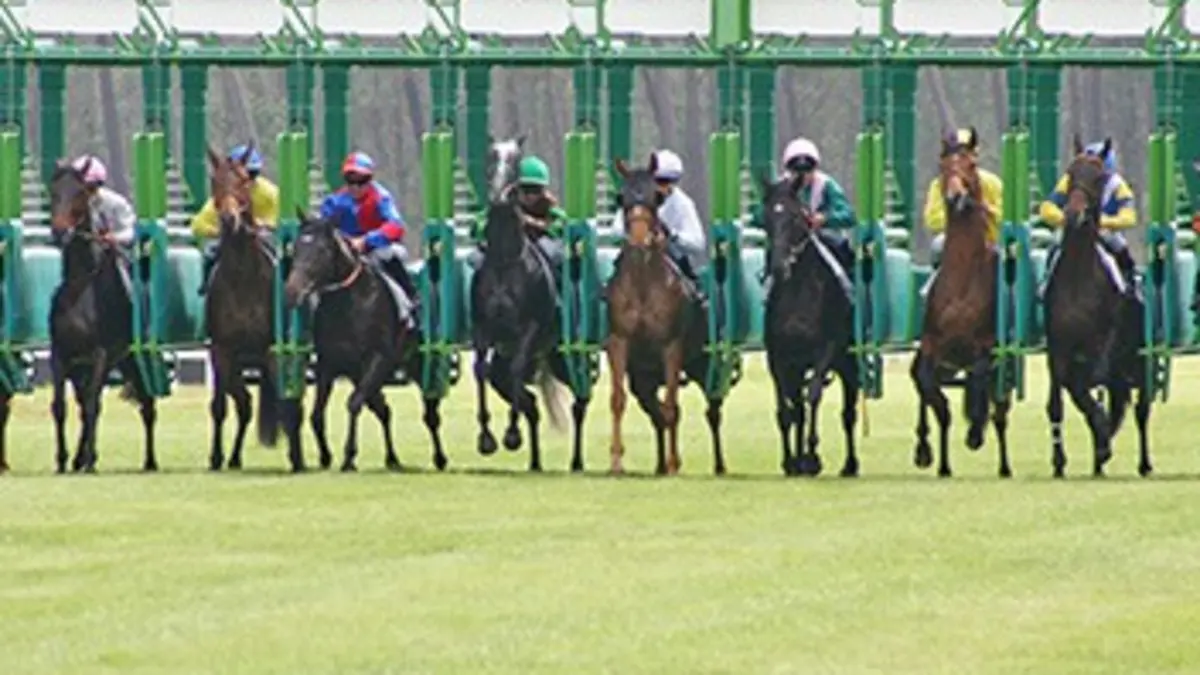 L'intégrale des courses