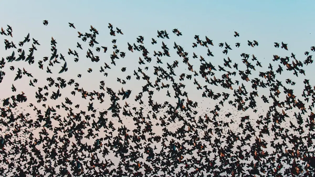 L'invisible poésie de la nature