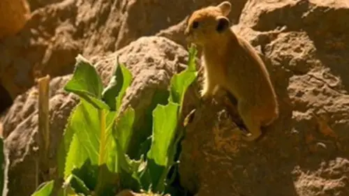 L'Iran du sud au nord E01 Le pays chaud