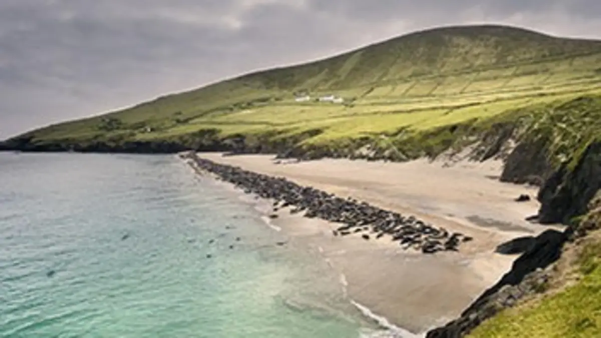 L'Irlande du bout du monde