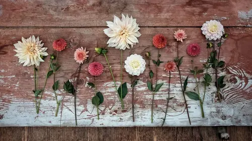 L'ivresse des fleurs Des fêtes et des saisons