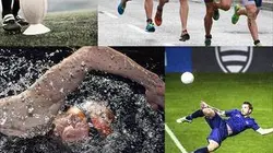 Visuel de L'obstinée