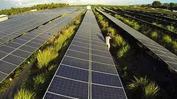 Visuel de L'océan Indien : innovations pour le climat