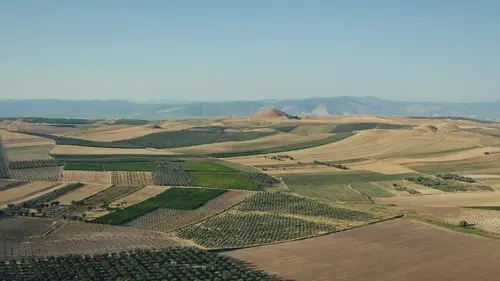 L'odyssée d'un trésor Le trésor de Crésus