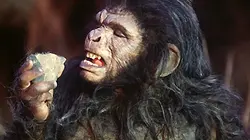 Visuel de L'odyssée de l'espèce