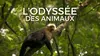 2022 • L'odyssée des animaux