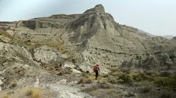 L'odyssée des animaux Le voyage du cheval d'Eurasie