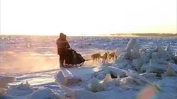 Visuel de L'odyssée sauvage