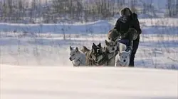 L'odyssée sibérienne en streaming