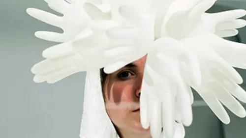 L'oeil de Links Spéciale animation