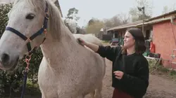 L'oeil et la main La loi de la récréation