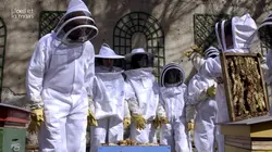 L'oeil et la main  Ça pousse, en silence !