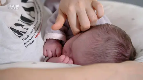 L'œil et la main Naissances a vif