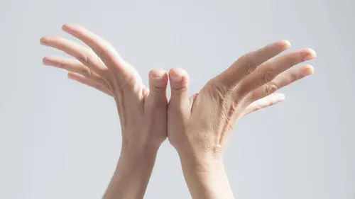 L'œil et la main Les coopérateurs