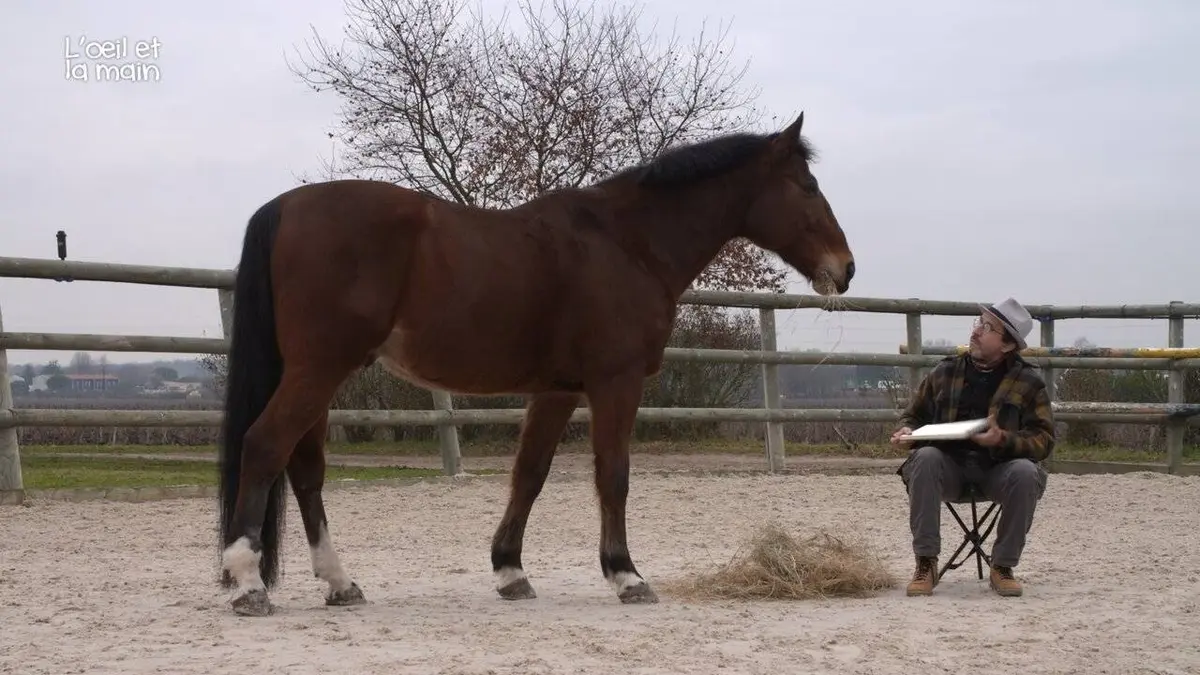 L'œil et la main Princeteau, Lautrec et moi