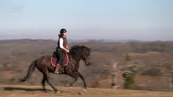 L'œil et la main  Wirginia, entre terre et ciel