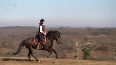 Wirginia, entre terre et ciel