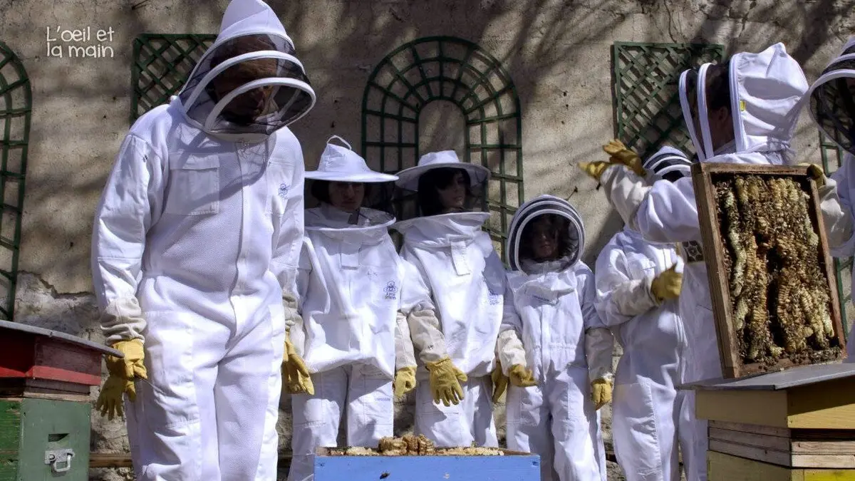 L'oeil et la main Ça pousse, en silence !