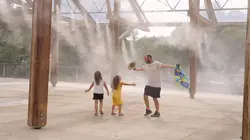 L'oeil et la main Itinéraire d'un girafon