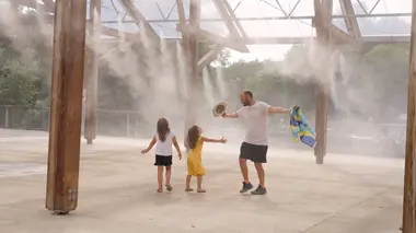 Itinéraire d'un girafon