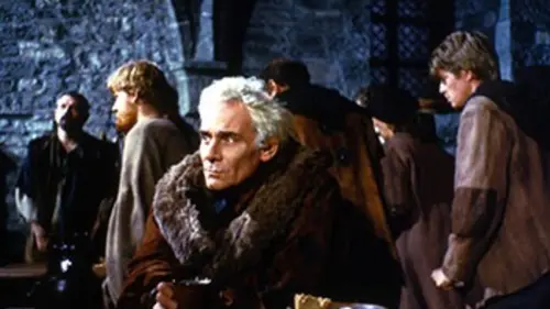 L'oeuvre au noir en streaming