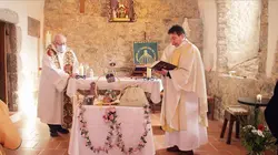 L'oignon fait la force