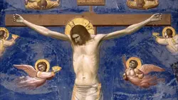 L'ombre d'un doute S01E06 Qui était Jésus ?