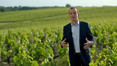 L'ombre d'un doute Bordeaux, histoires de châteaux