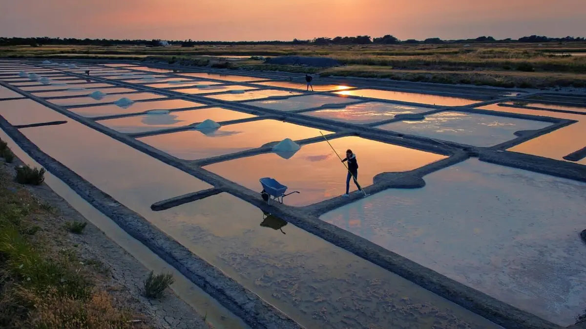 L'or blanc de Noirmoutier