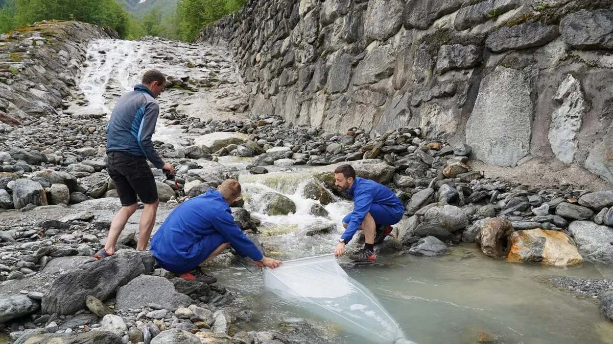 L'or bleu des Alpes, un bien menacé