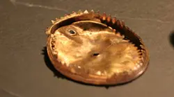 L'or perdu de Grande-Bretagne