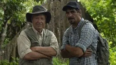 L'or perdu de la 2e guerre mondiale