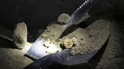 L'or perdu de la 2e Guerre mondiale S01E05 La seconde entrée