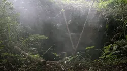 L'or perdu de la 2e guerre mondiale