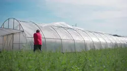 L'or rouge de Hongrie - Paprika : Peter défie la concurrence
