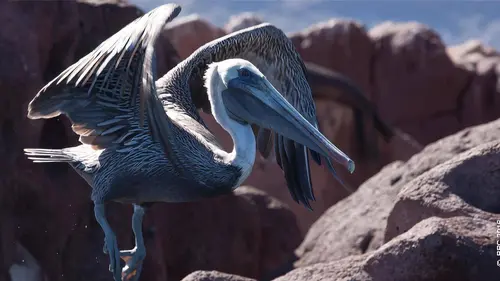 L'Ouest américain S01E03 Sur les côtes