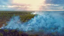 L'ouest sauvage de l'Australie : Parmi les crocodiles du parc Mitchell River