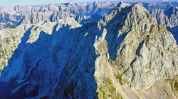 L'ours des Karavanke : Sur les traces d'un frontalier