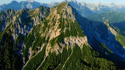 L'ours des Karavanke : Sur les traces d'un frontalier