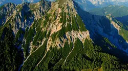 L'ours des Karavanke : Sur les traces d'un frontalier